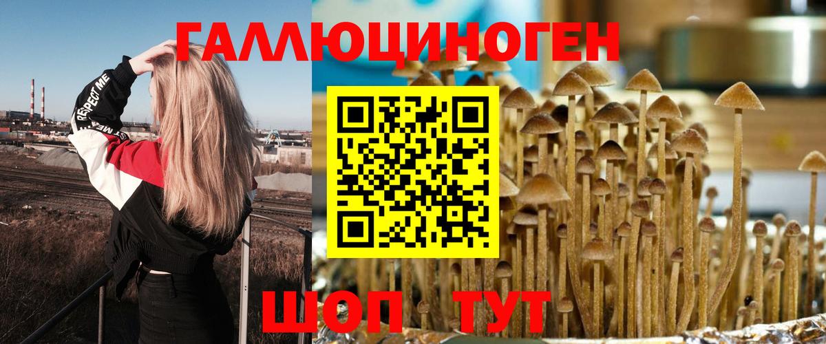 Галлюциногенные грибы Cubensis Менделеевск