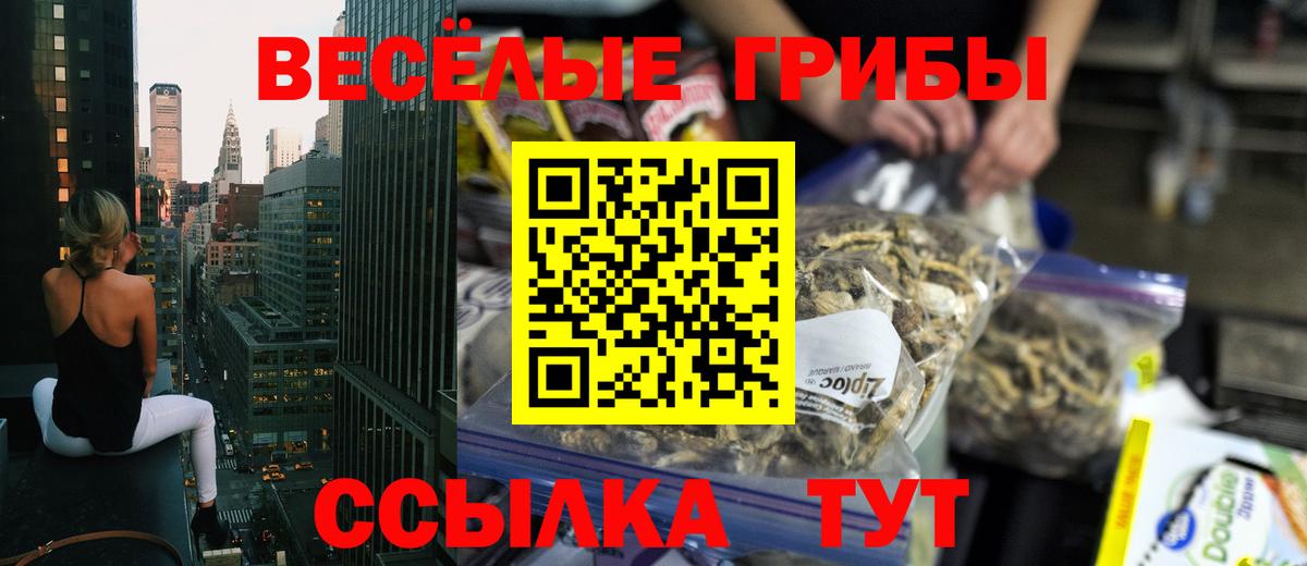 Менделеевск  цена   Вход с VPN  Псилоцибиновые грибы Psilocybine cubensis 